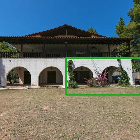 Chalkidiki Beachfront Haven - Perfect Location 尼基季 外观 照片