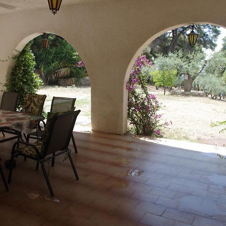 Chalkidiki Beachfront Haven - Perfect Location 尼基季 外观 照片