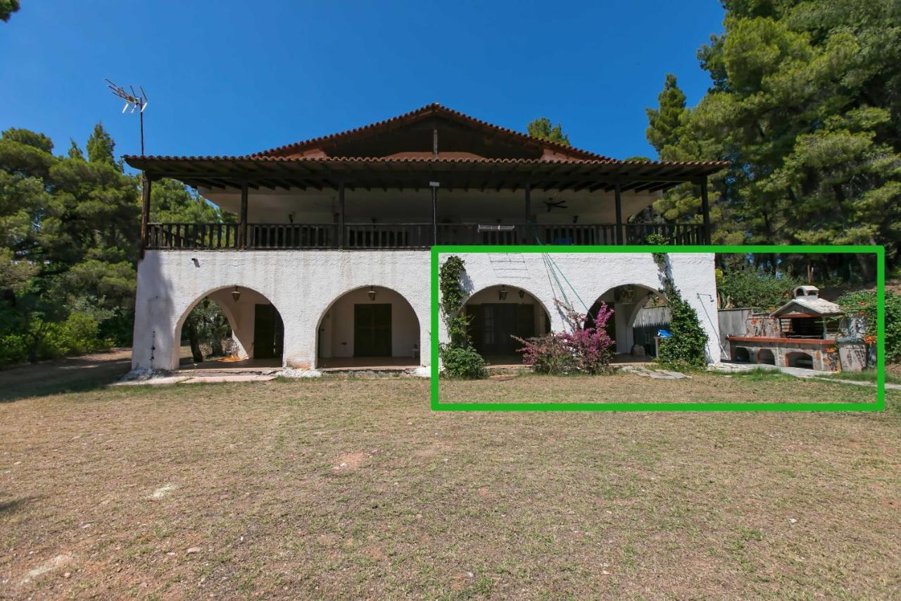 Chalkidiki Beachfront Haven - Perfect Location 尼基季 外观 照片