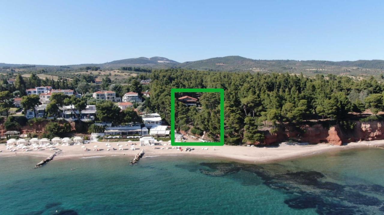 Chalkidiki Beachfront Haven - Perfect Location 尼基季 外观 照片